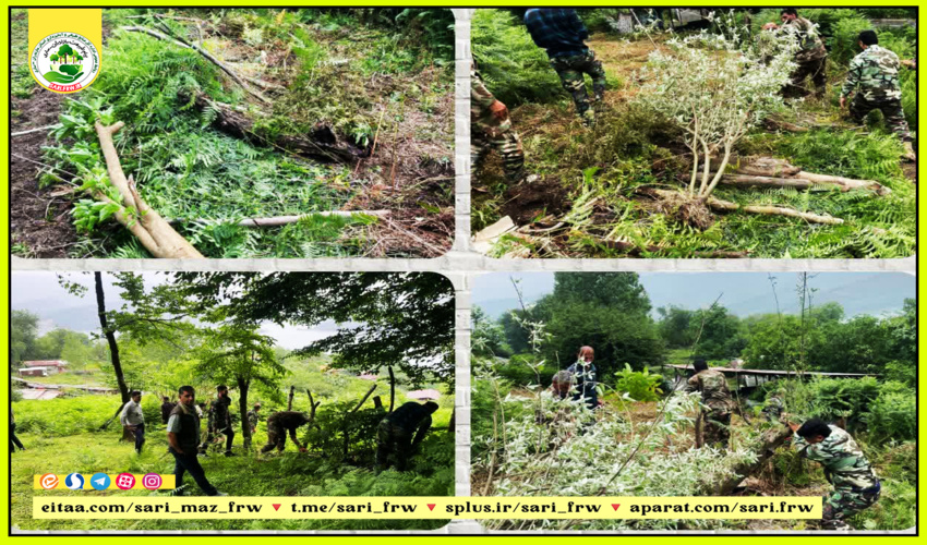 رفع تصرف از اراضی ملی در شهرستان سوادکوه شمالی