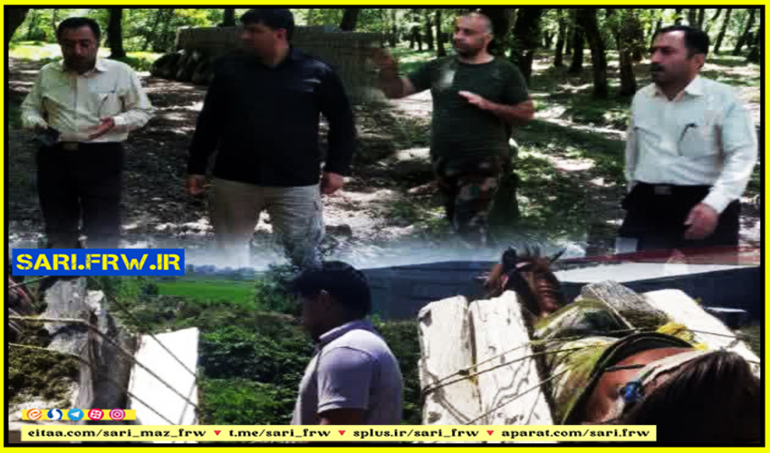 کشف و ضبط چوب قاچاق در شهرستان نور