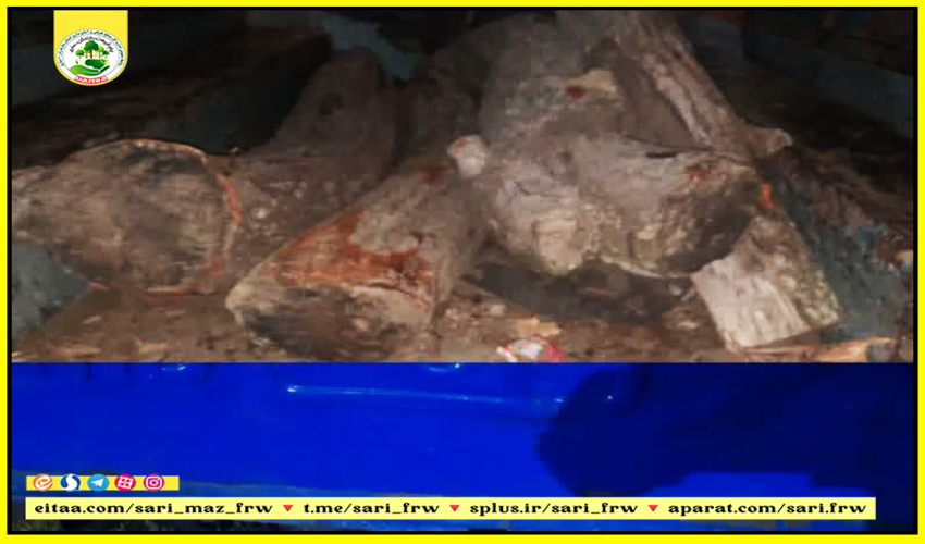 کشف و ضبط محمولات جنگلی قاچاق در شهرستان گلوگاه