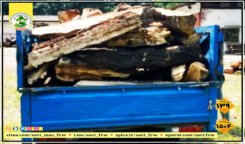 کشف و ضبط یک تن چوب قاچاق در شهرستان نور 