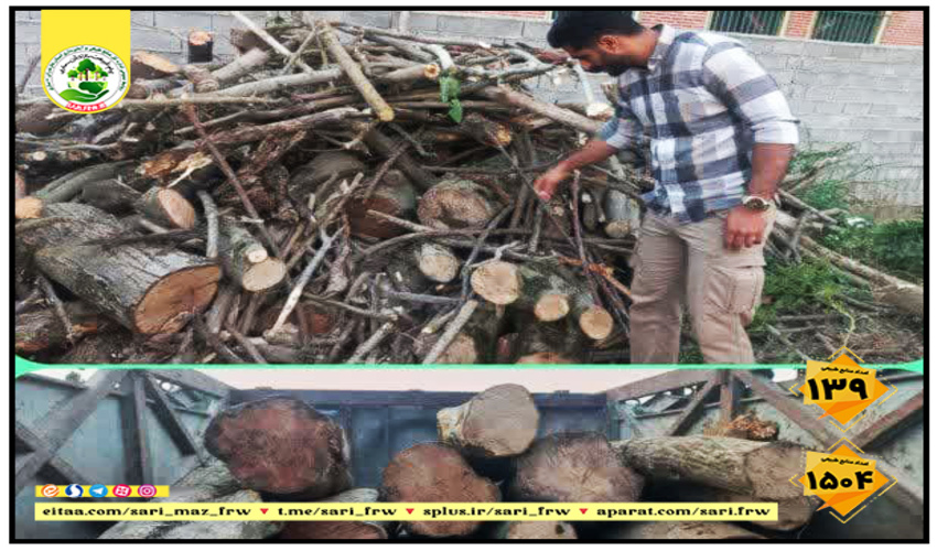 کشف و ضبط چوب آلات قاچاق جنگلی در شهرستان قائمشهر