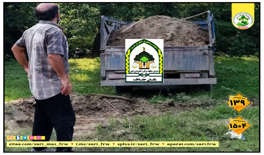  توسط یگان حفاظت منابع طبیعی آمل؛ کشف و ضبط چوب جنگلی قاچاق