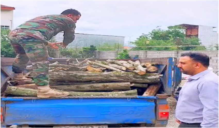 کشف و ضبط یک تن چوب قاچاق در شهرستان ساری 