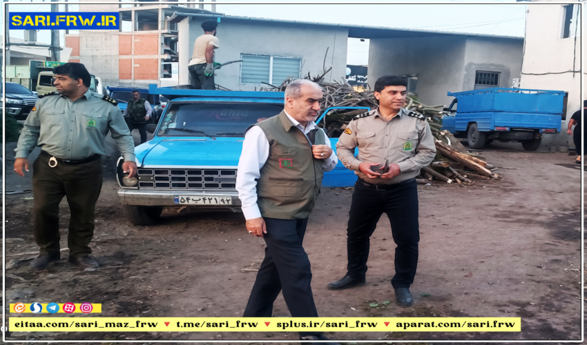  کشف و توقیف چوب جنگلی قاچاق در آمل 