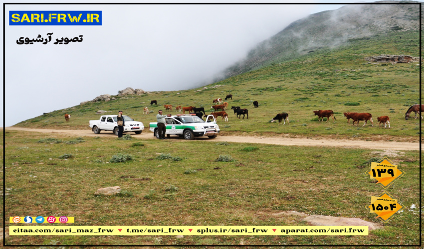 کنترل و مدیریت چرای دام در مرتع کلاکوه آمل