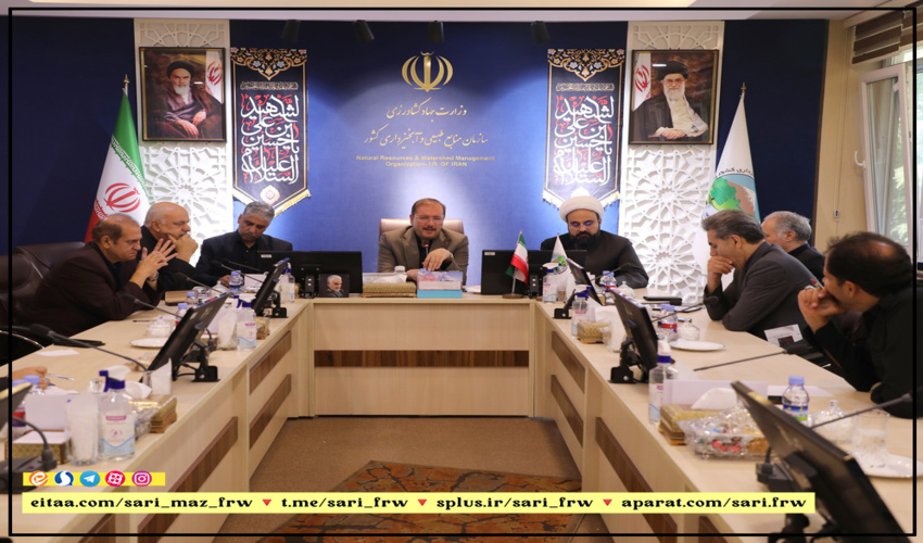 طرح کاشت یک میلیارد درخت با قدرت ادامه دارد/ مرز میان اراضی ملی با اراضی دولتی و خصوصی را با درختکاری مشخص کنیم