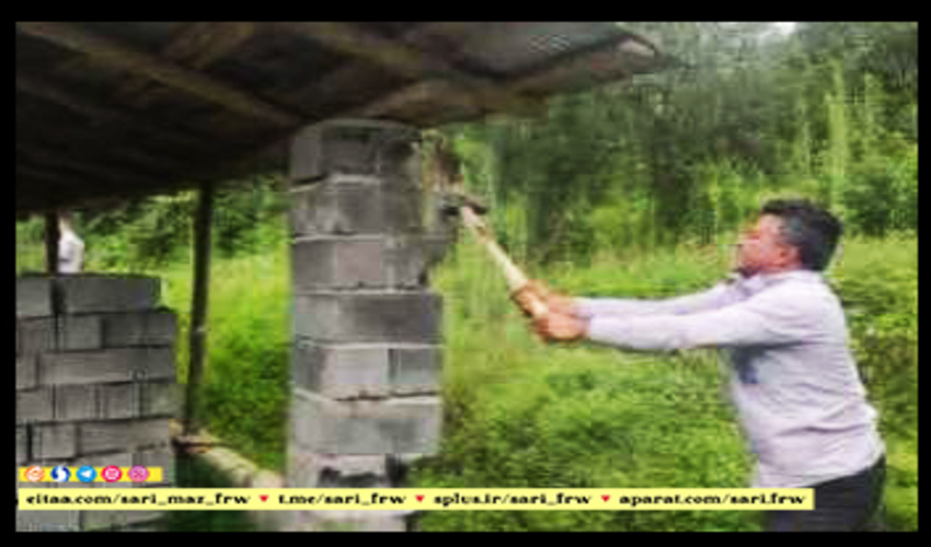 کشف و ضبط چوب آلات قاچاق جنگلی در شهرستان نور