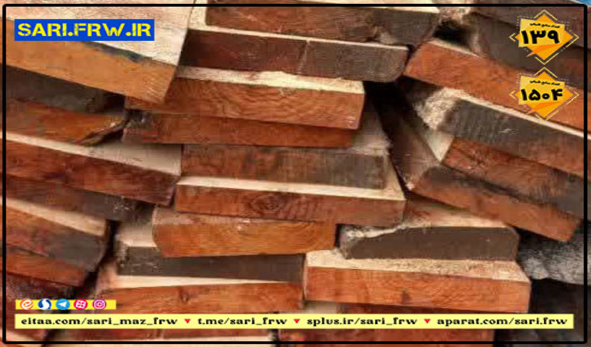  کشف چوب توسکا قاچاق در آمل