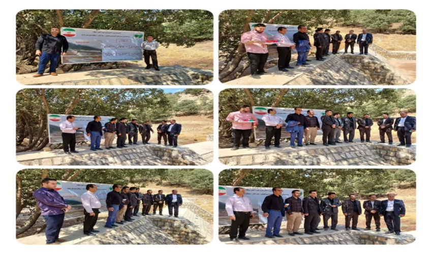  خاور حامل چوب قاچاق در آمل توقیف شد 