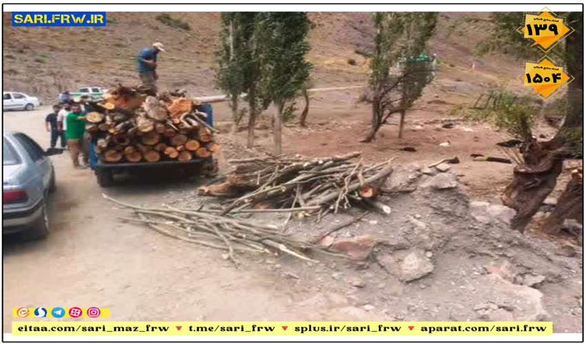 کشف و ضبط چوب آلات قاچاق جنگلی در شهرستان نور