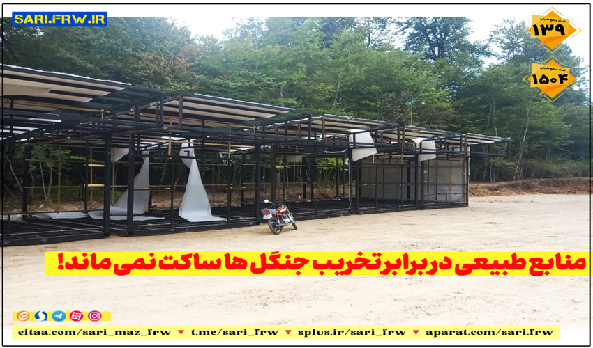 منابع طبیعی در برابر تخریب جنگل ها ساکت نمی ماند!