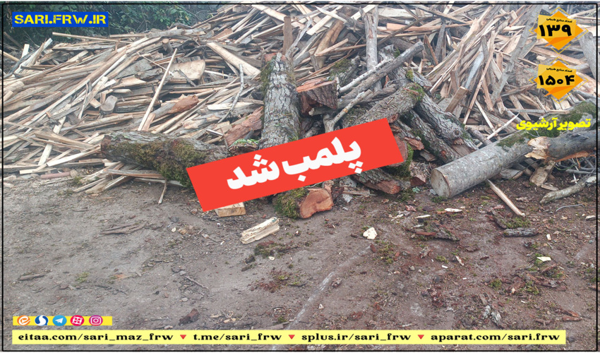 پلمپ مرکز دپو به دلیل  کشف محمولات غیر مجاز جنگلی 