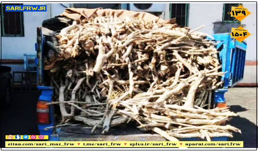 کشف و ضبط چوب آلات قاچاق جنگلی در شهرستان سوادکوه شمالی