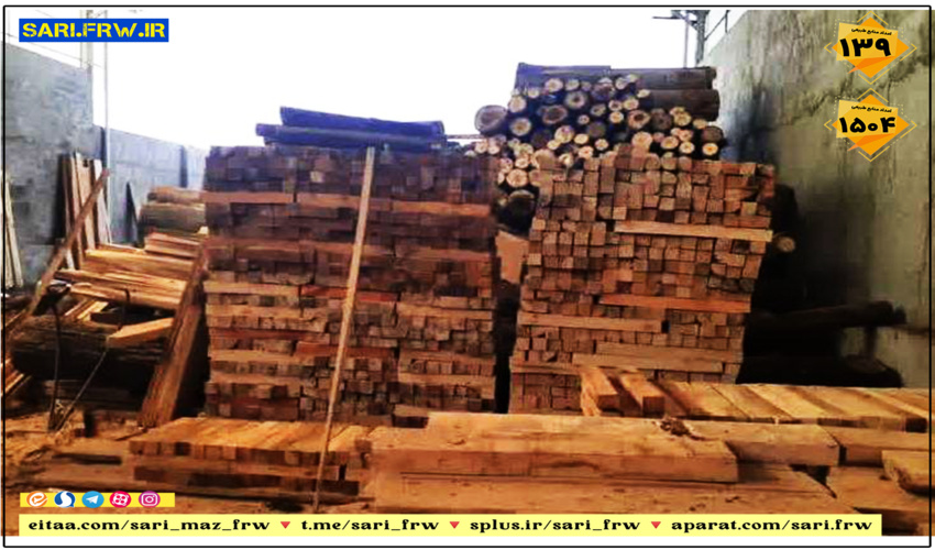 قطع درختان جنگلی در بهشهر و کشف چوب قاچاق در آمل