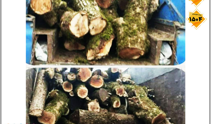 کشف و ضبط  ۳۷۵۰ کیلوگرم   چوب هیزمی جنگلی غیر مجاز در سوادکوه شمالی
