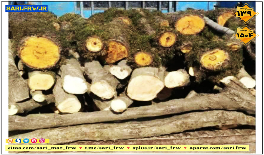 کشف و ضبط نیم تن چوب جنگلی غیرمجاز در سوادکوه شمالی