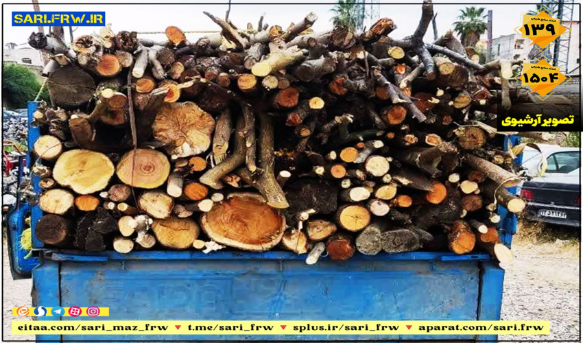 کشف و ضبط حدود یک تن هیزم قاچاق در شهرستان نور 