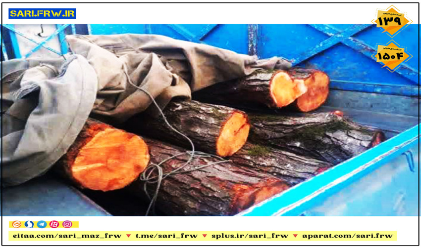 کشف و ضبط چوب آلات قاچاق جنگلی در شهرستان نور