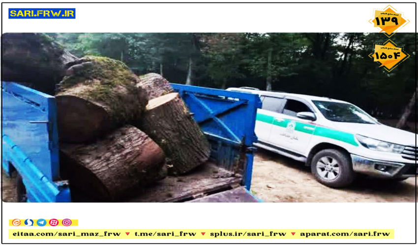 کشف چوب جنگلی قاچاق در آمل 