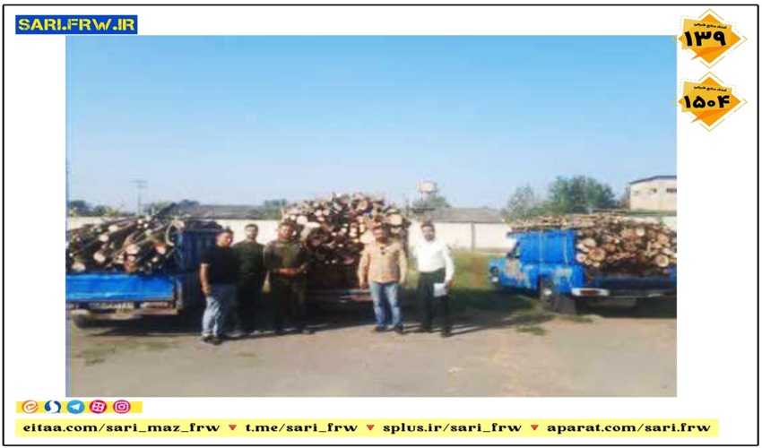 کشف و ضبط چوب قاچاق در شهرستان میاندورود