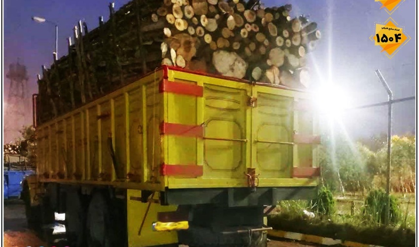 کشف و ضبط چوب آلات قاچاق جنگلی در بندر امیرآباد توسط یگان حفاظت اداره کل
