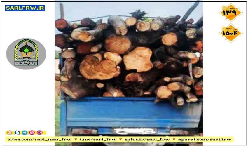 کشف و ضبط چوب قاچاق در شهرستان میاندورود