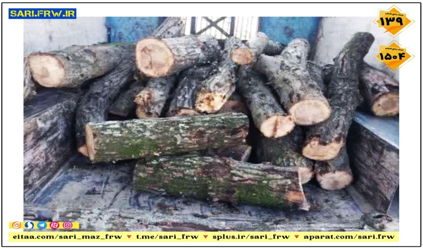 کشف و ضبط چوب قاچاق جنگلی در شهرستان میاندورود