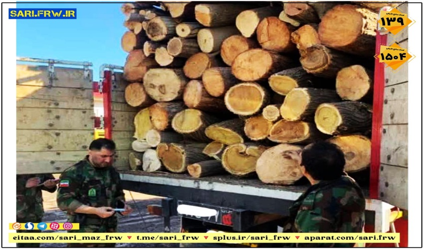 کشف و ضبط چوب آلات قاچاق جنگلی در شهرستان ساری