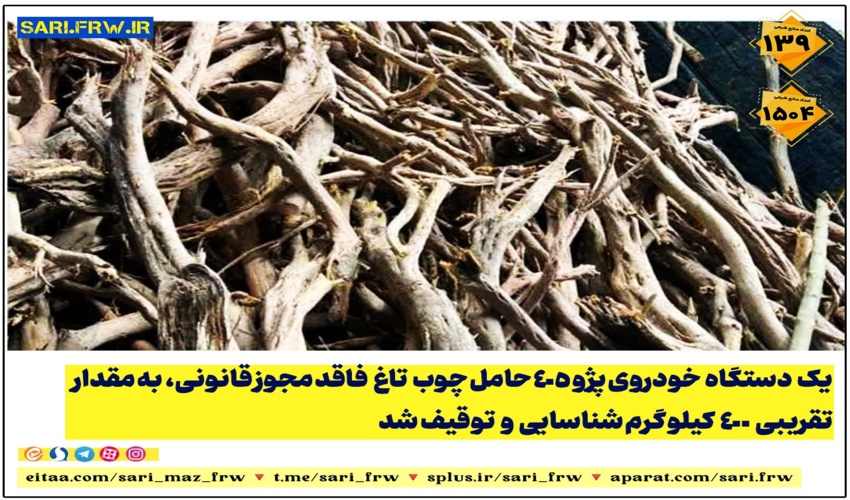 کشف و ضبط چوب تاغ در شهرستان میاندورود