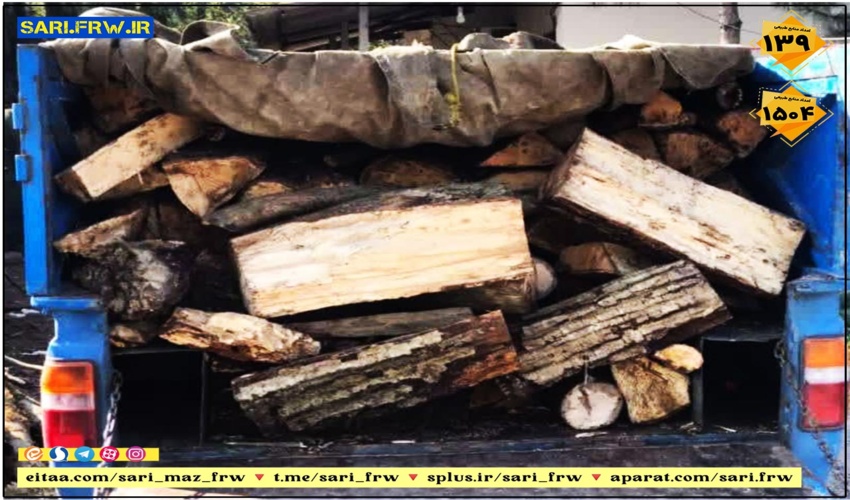کشف و ضبط چوب آلات قاچاق جنگلی در شهرستان نکا