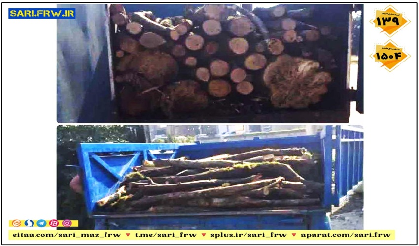 کشف و توقیف چوب جنگلی قاچاق در آمل 