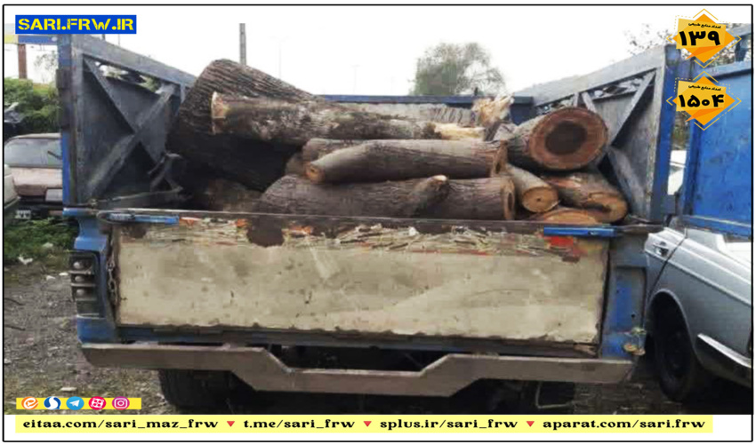 کشف و ضبط چوب آلات قاچاق جنگلی در شهرستان سوادکوه شمالی