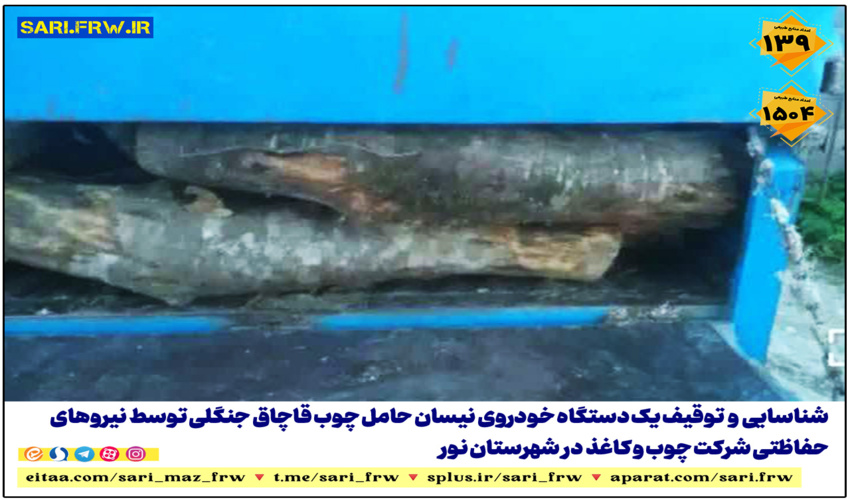 کشف و ضبط چوب آلات قاچاق جنگلی در شهرستان نور