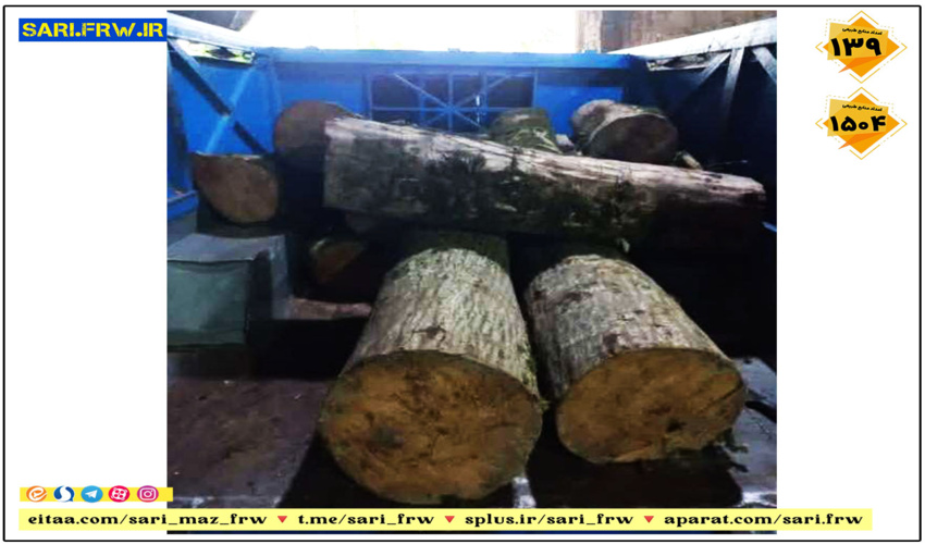 کشف و ضبط چوب آلات قاچاق جنگلی در شهرستان آمل