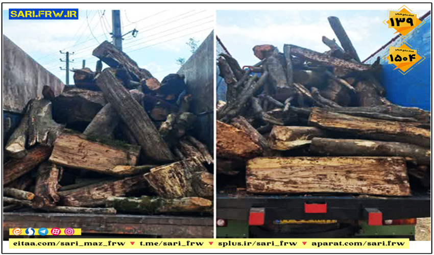 کشف و توقیف چوب قاچاق در آمل 