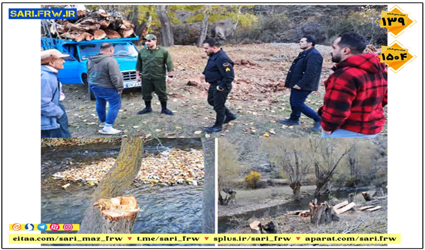 کشف و ضبط چوب آلات قاچاق جنگلی در شهرستان نور