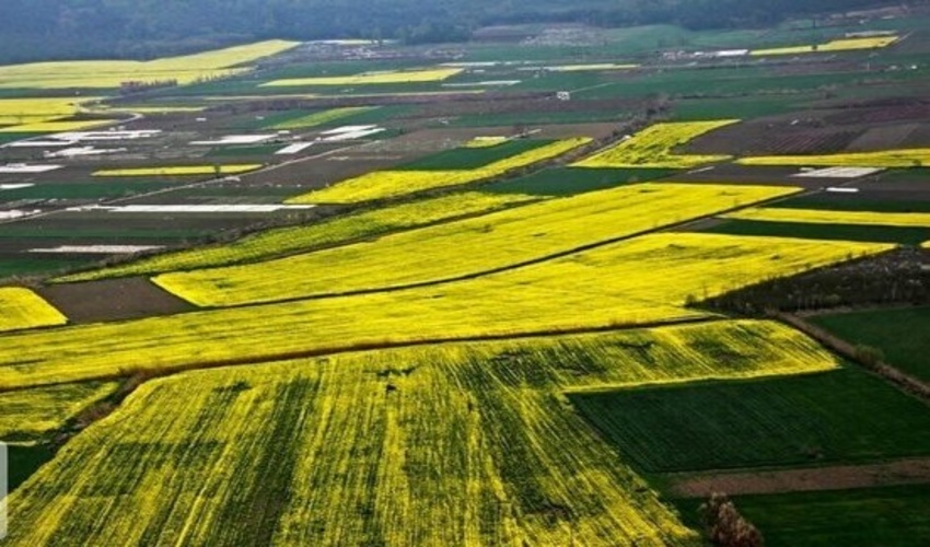 پنج هزار و 700 متر مربع از اراضی ملی در منطقه بابلکنار شهرستان بابل آزاد سازی شد