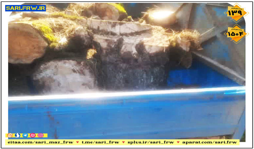 کشف و ضبط چوب آلات قاچاق جنگلی در شهرستان بابل