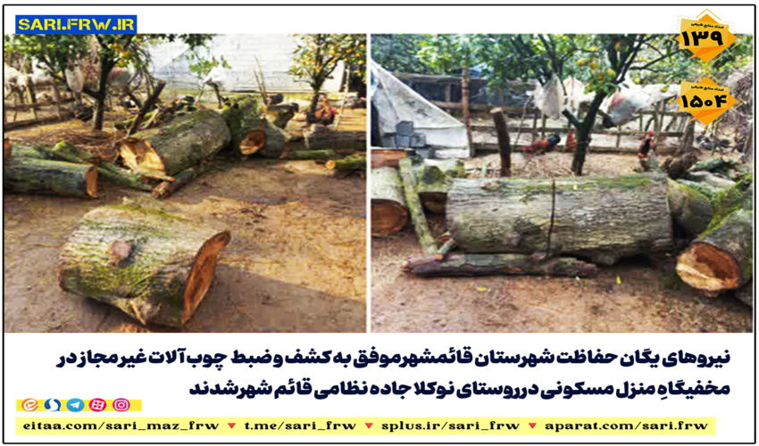 کشف و ضبط چوب آلات قاچاق جنگلی در شهرستان قائمشهر