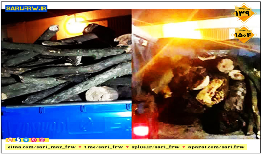 کشف و ضبط چوب آلات قاچاق جنگلی در شهرستان نور