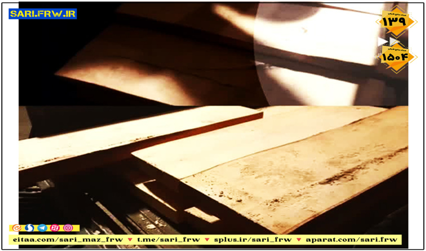 کشف و ضبط چوب آلات قاچاق جنگلی در شهرستان نور