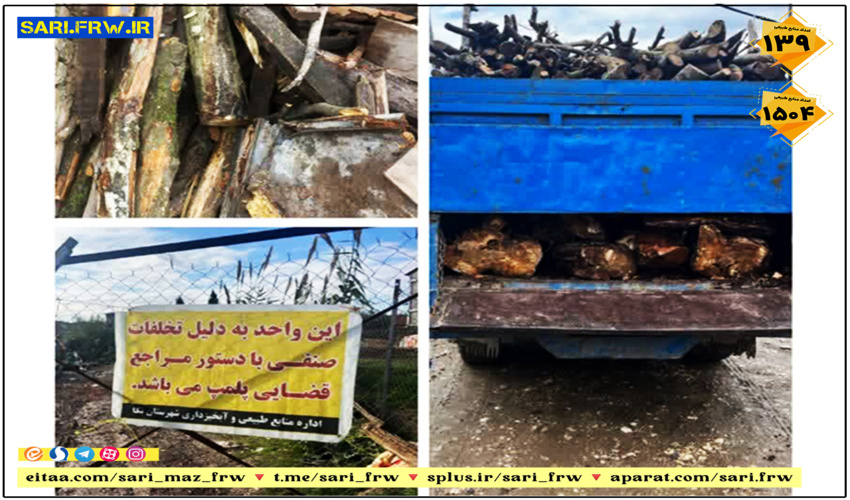 کشف و ضبط چوب آلات قاچاق جنگلی در شهرستان نکا