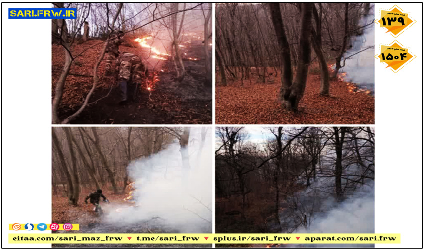 اطفای حریق در منطقه ولو شهرستان بهشهر