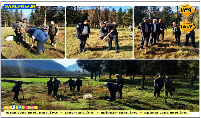  پویش "نهضت احیای جنگل‌ها" در آمل برپا شد