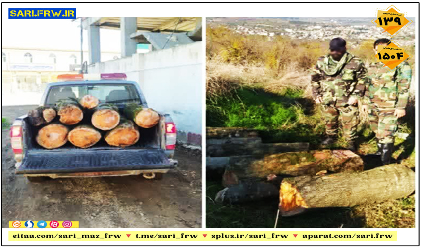 کشف و ضبط چوب آلات قاچاق جنگلی در شهرستان بهشهر