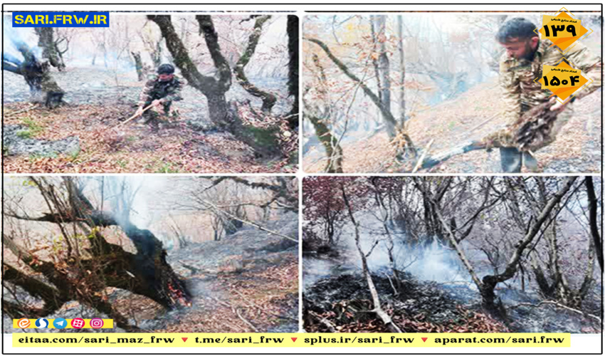 حریق در جنگل «شاهزید» آمل اطفا شد