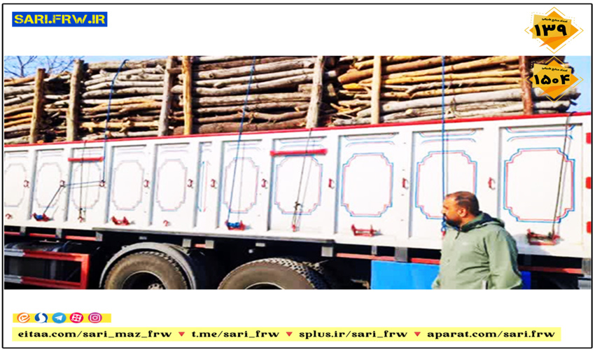 توقیف خودروی حامل چوب قاچاق در ساری