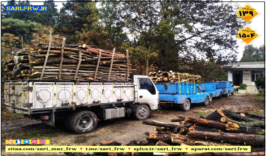 کشف و ضبط چوب آلات قاچاق جنگلی در شهرستان بهشهر