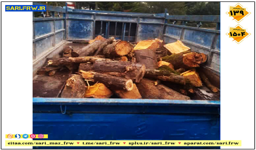 کشف و ضبط چوب آلات قاچاق جنگلی در شهرستان نور