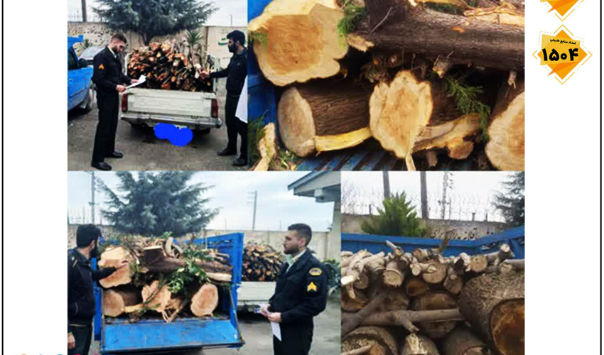 کشف و ضبط چوب آلات قاچاق جنگلی در شهرستان نور